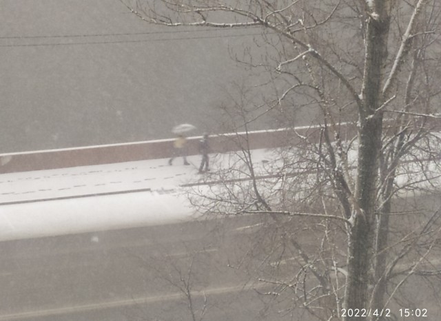 А какая у Вас сегодня весна за окном?!