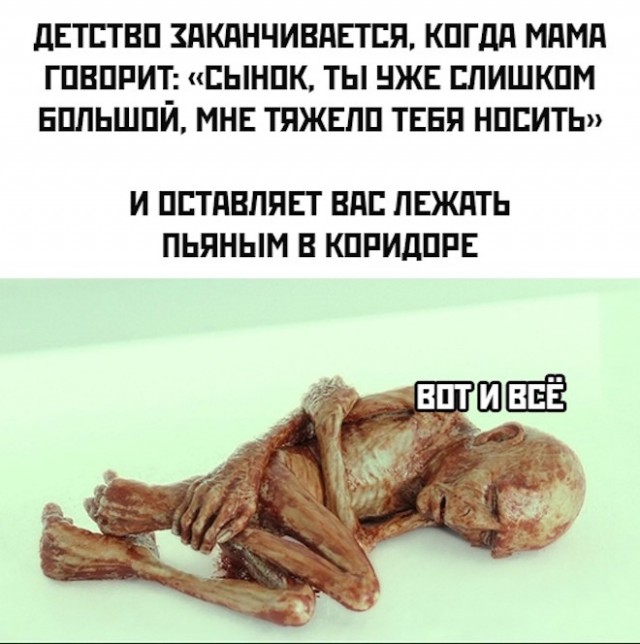 Забавные шутки, фразы, картинки из этих ваших интернетов