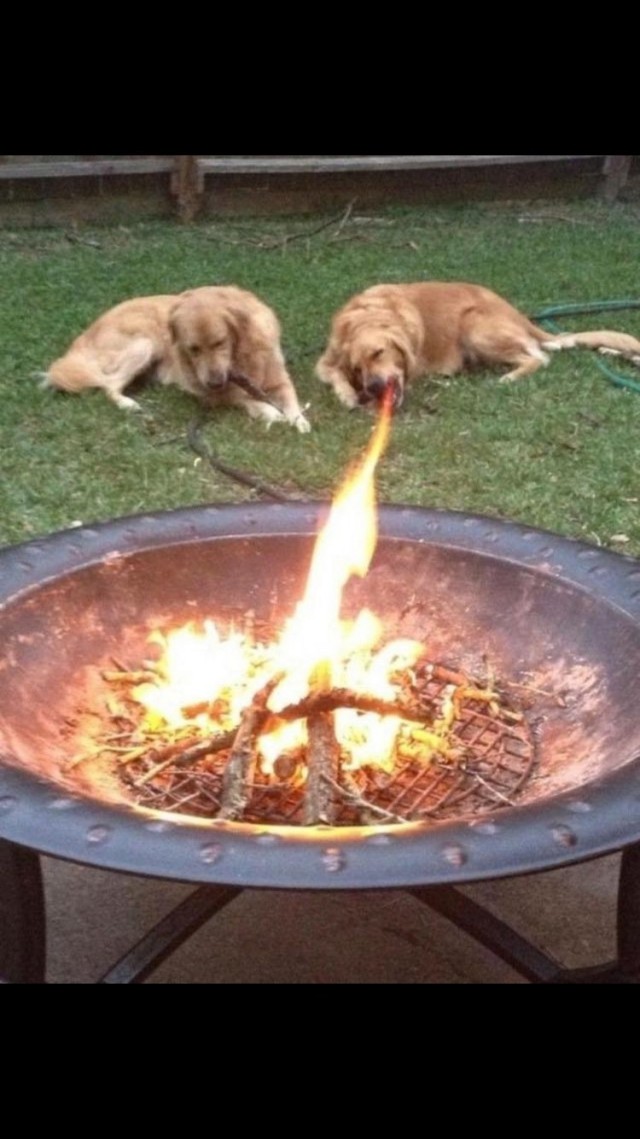Это нужно развидеть: 14 забавных фото, которые обманут ваше зрение