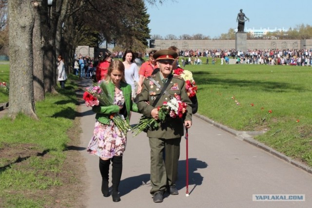 СПб глазами уставшего туриста...