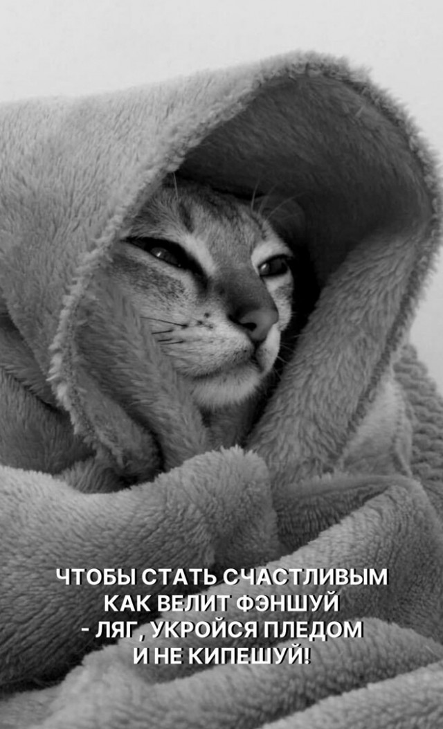 Юмор в картинках и без