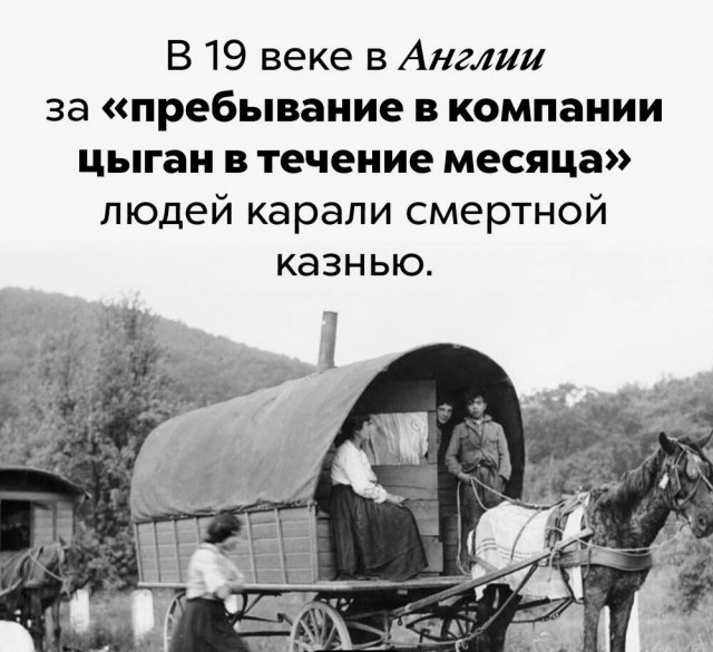 Факты. Просто факты.