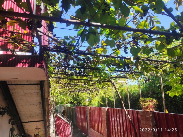 Мой Кавказ. Часть 2