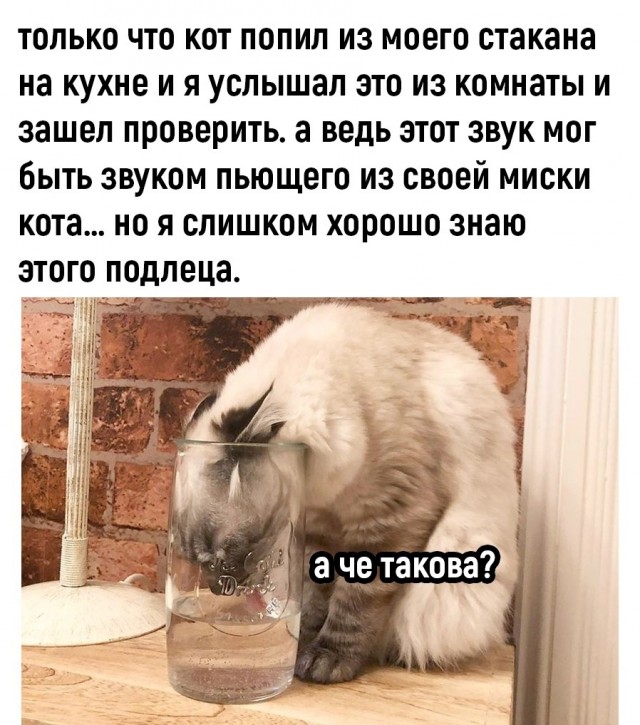 Так себе картинки 04.02.23