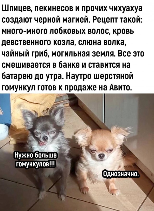 Картинок разной степени @анутости псто.