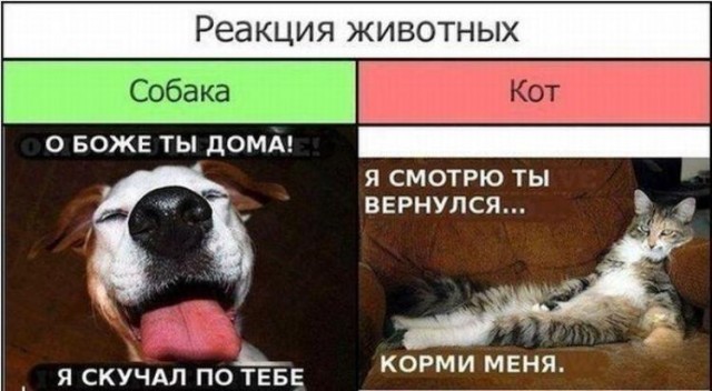 Весёлый полтишок 21.03.23