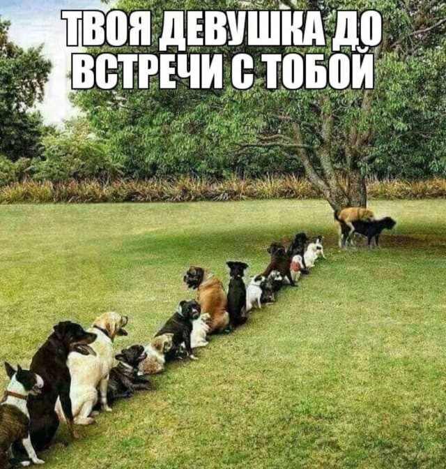 40 пятничных картинок 26.05.2023