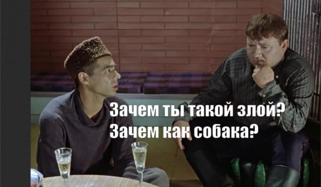 Кошаки на даче
