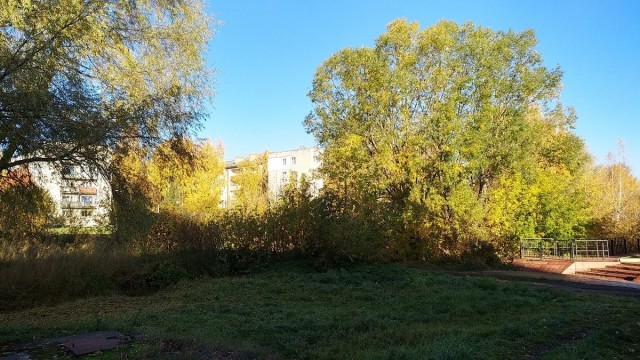 Осень золотая