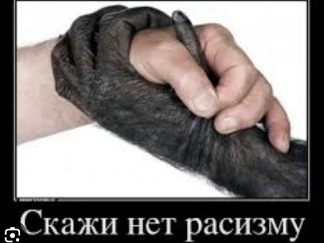 Демократичная атмосфера Нью Йорка
