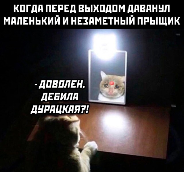 Всего понемногу. От 17.11.23