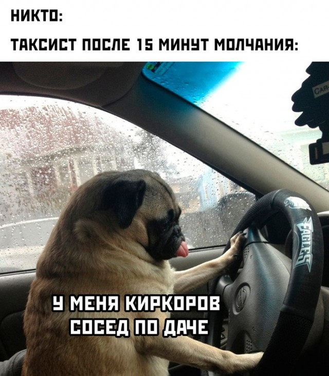 Весёлый полтишок 24.12.23