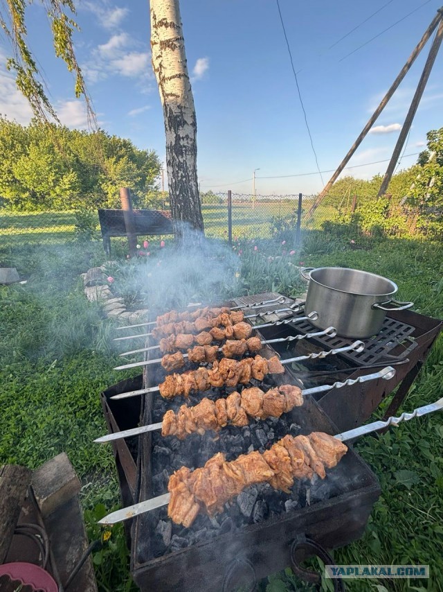 Шашлык, рецепты маринада, все про шашлык!