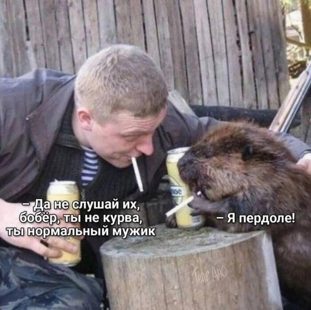 Прикольные и просто красивые картинки 07.05.2024