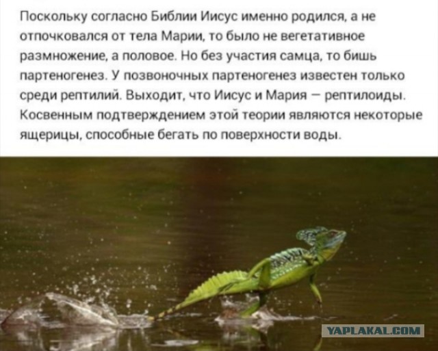 Так себе картинки 20.07.24