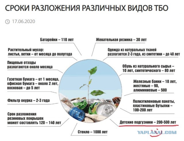 История Земли как календарный год