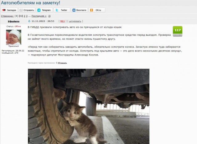 Это фото дальнобойщик прислал жене