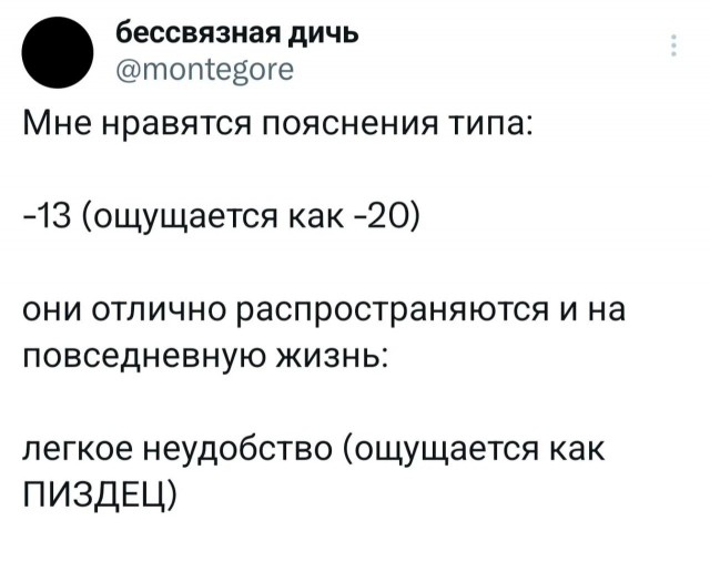 Нуштош 04.10.2024