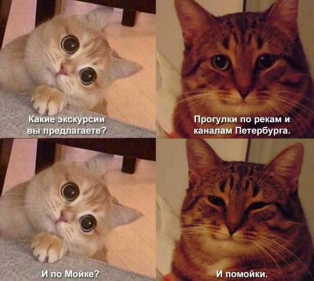 Окололитературное