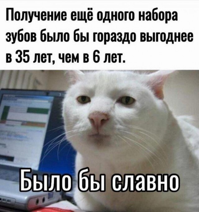 Веселые картинки к понедельнику (16.12)