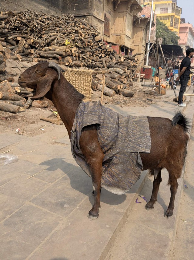 Бутан, таинственный Бутан