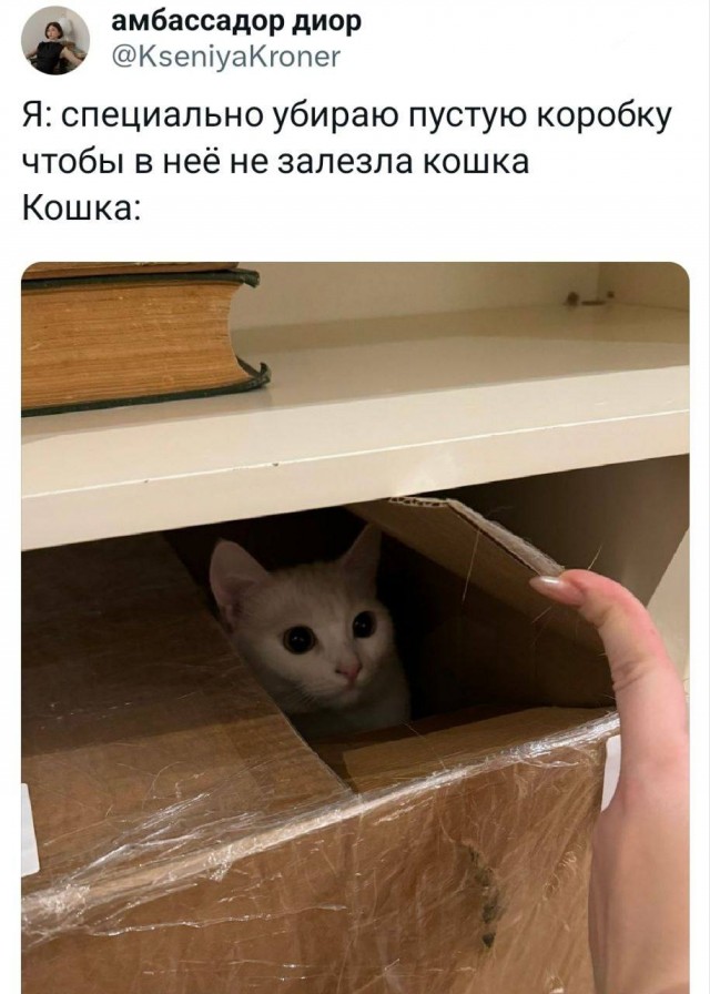 Завалялось тут случайно немного забавных картинок