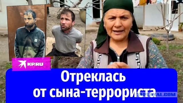 Семья террориста из Новосибирска просит его освобождения, ссылаясь на нищету и голод.