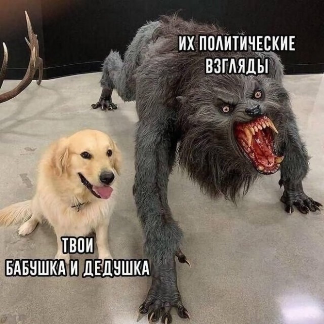 Веселые картинки в понедельник (02.06)