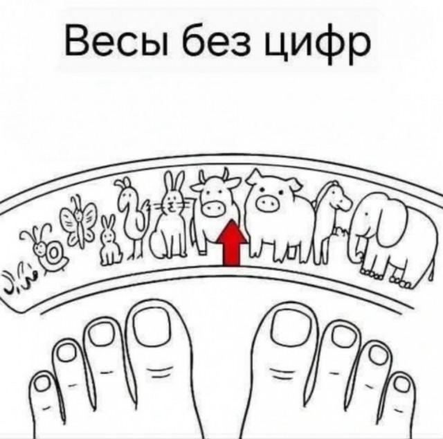Завалялось тут случайно немного забавных картинок