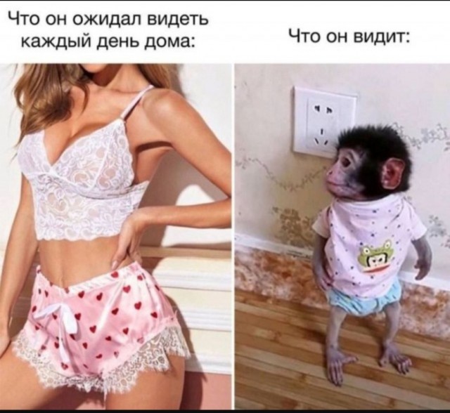 Веселое настроение в картинках 09.08.25
