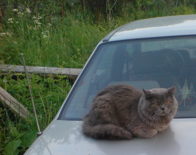 Городская