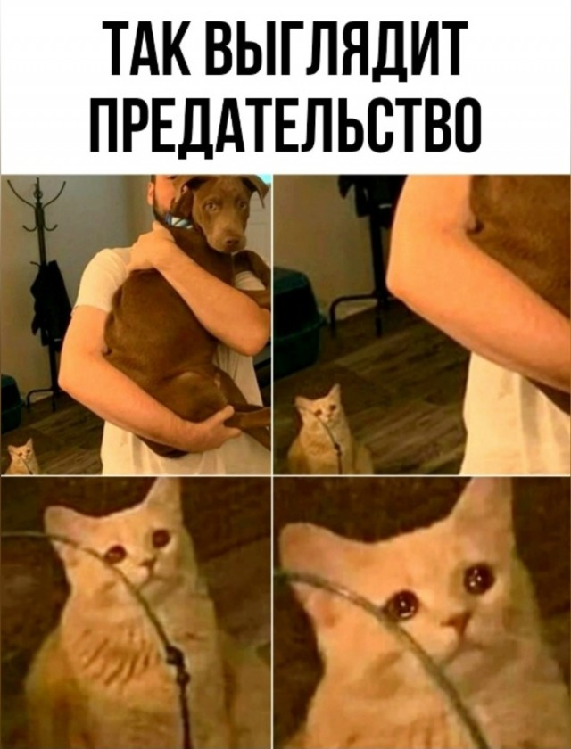 Четверговые картинки.
