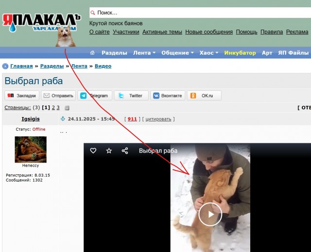 Выбрал раба