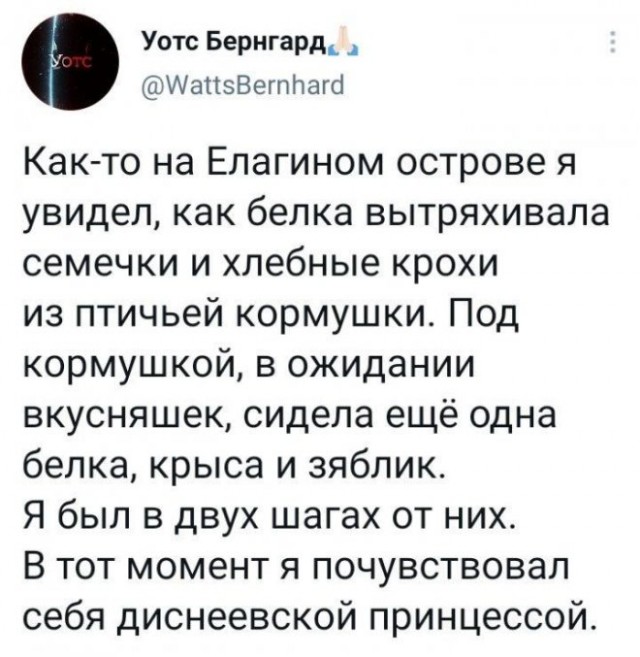 Веселые картинки в первый день зимы (01.12)