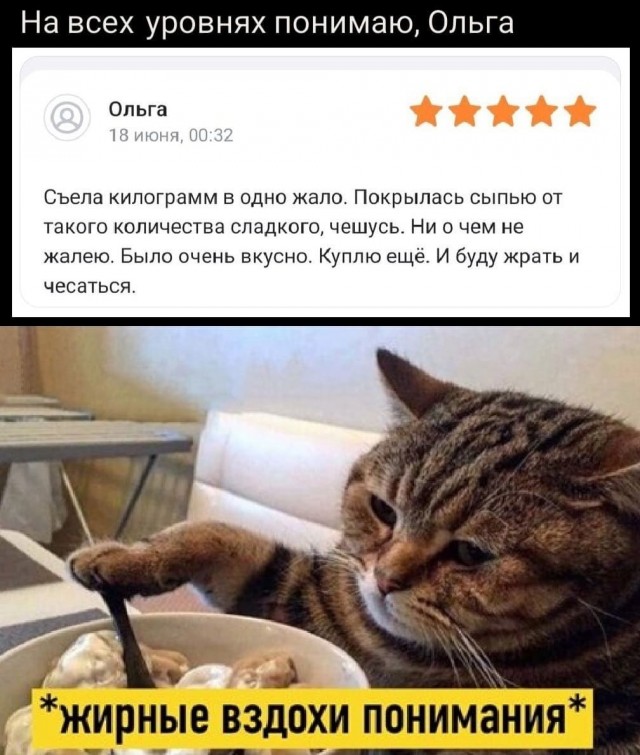 К котовторнику: подборка картинок-баянов с котиками и про котиков. Выпуск 26.