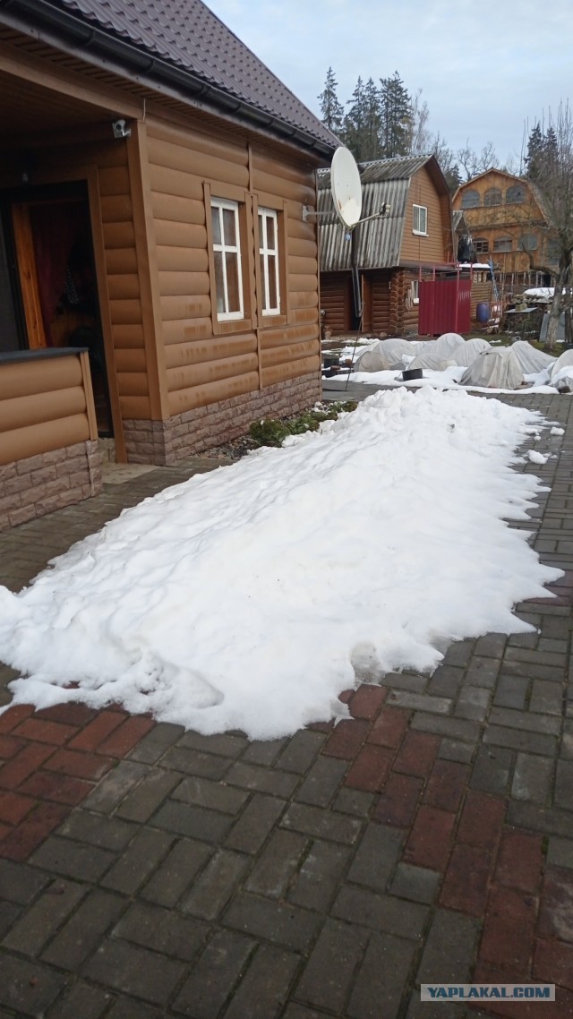 Скорее бы на дачу