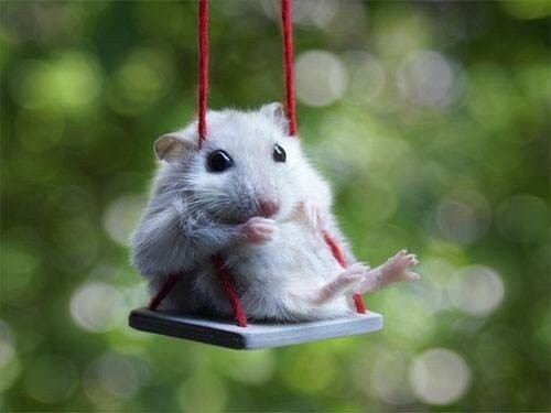 Ищите и обрящете!