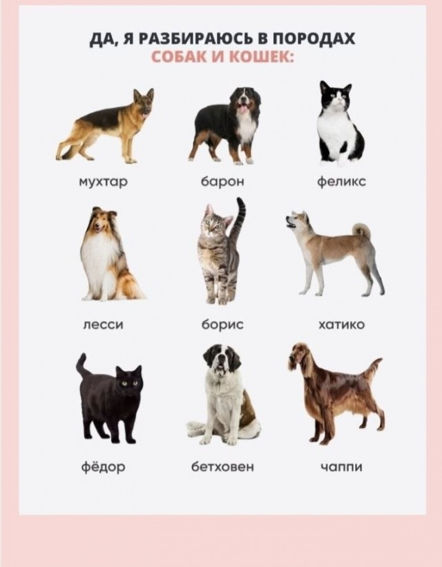 Четверговые картинки