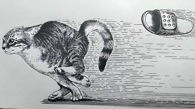 Картиночки, баянчики 26 марта