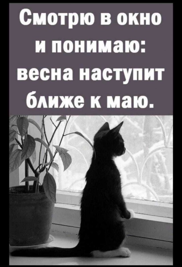 Опять метель, какого ... ведь уже апрель