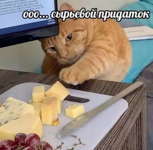 Картиночки, баянчики 22 апреля