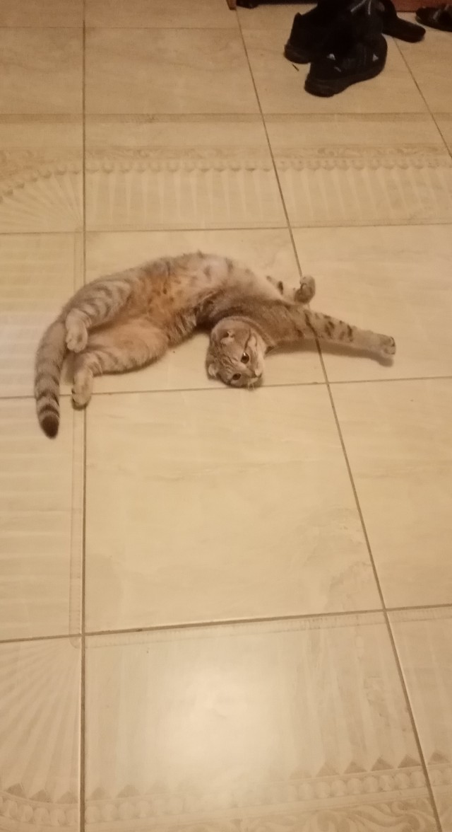 -Тебе так удобно?