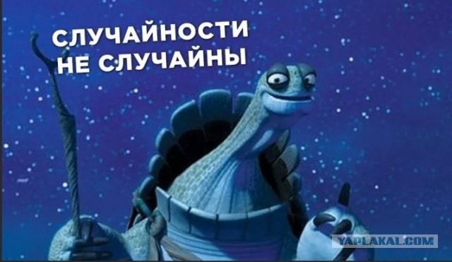 Вместе с топ-менеджером «Яндекса» на рыбалке погиб глава стройфирмы «БИС»