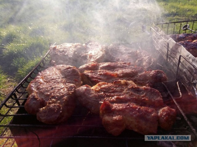 Как я дошутился сейчас на даче
