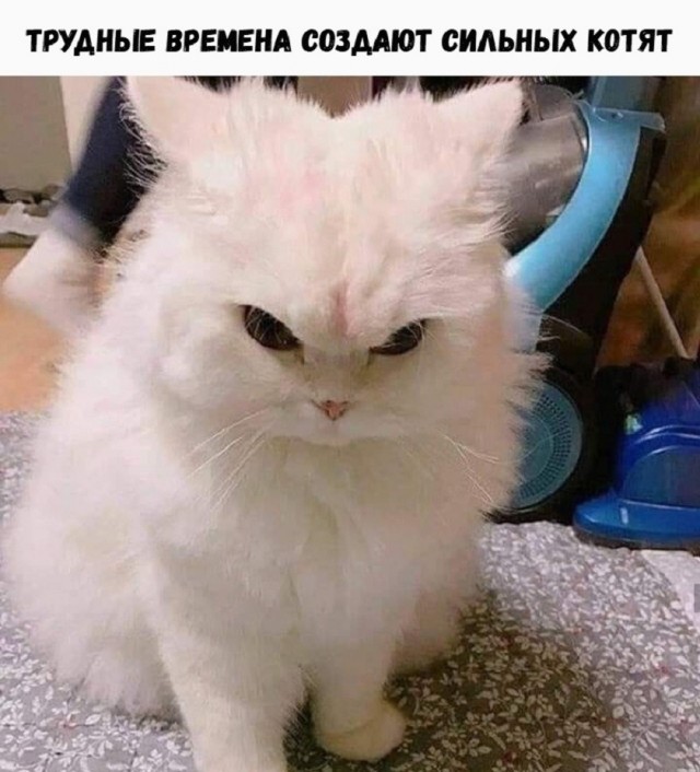 Так себе картинки 15.05.26