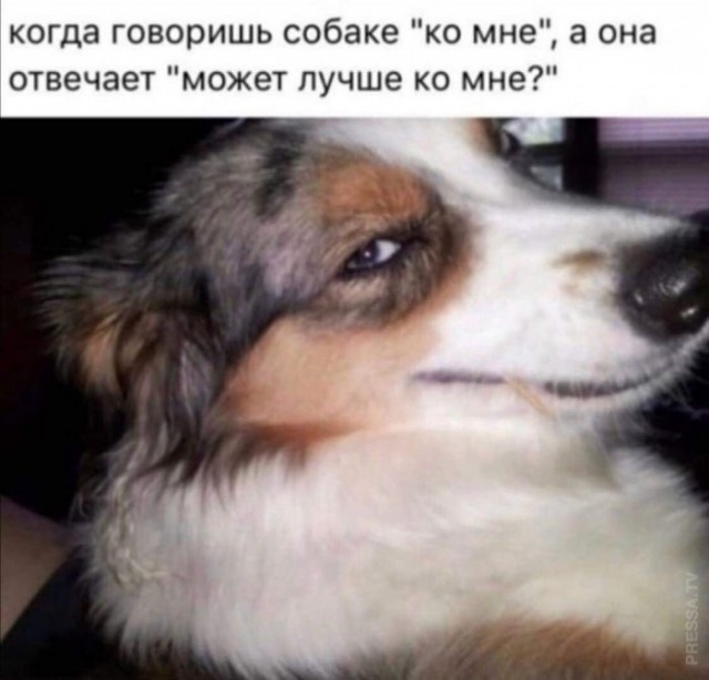 Веселые картинки в понедельник (06.07)