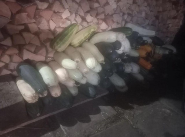 Ну вот и началось