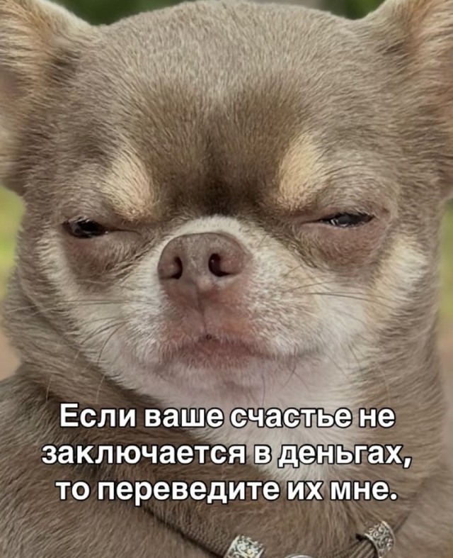 Так себе картинки 10.09.26