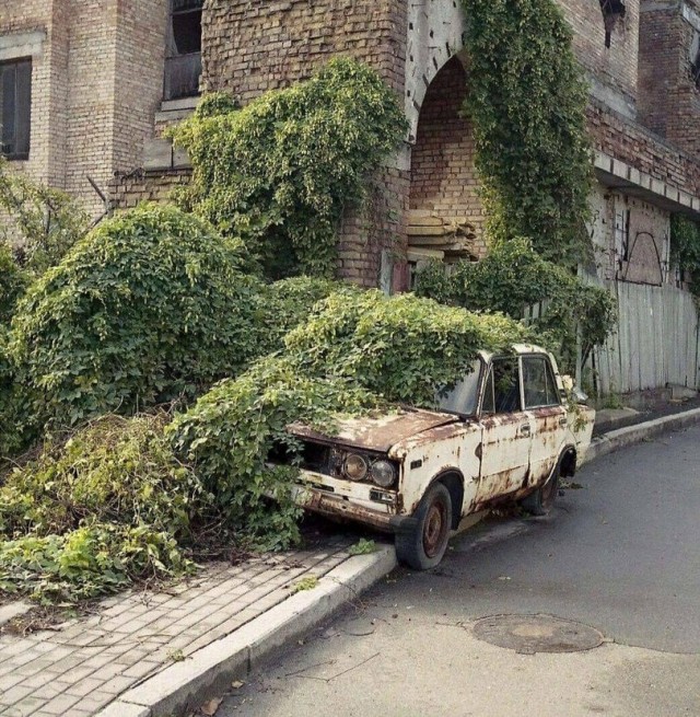 Припаркованы навсегда
