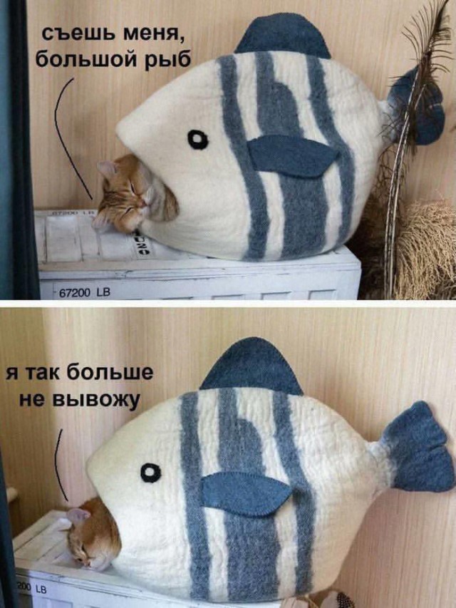 Картинки для деградации 293 (разной степени свежести)